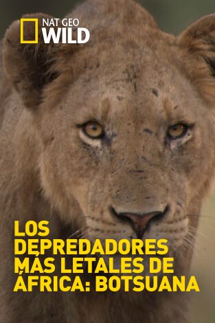 Los depredadores más letales de África: Botsuana. Los depredadores más...: El poder de la mesa