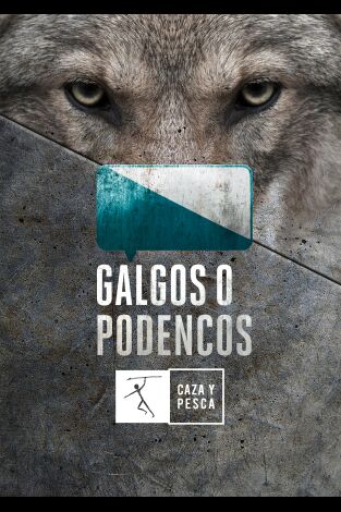 Galgos o podencos. T(T3). Galgos o podencos (T3): Cabañeros en peligro