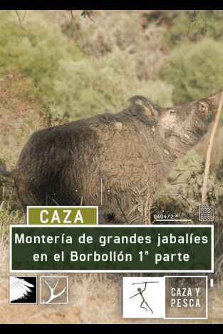 Montería de grandes jabalies en El Borbollón. 1ª parte