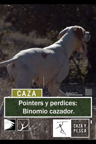 Pointers y perdices: Binomio cazador