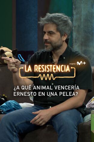 Lo + de las entrevistas de cine y televisión. T(T5). Lo + de las... (T5): Ernesto y el lobo - 23.3.22