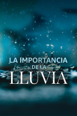 La importancia de la lluvia. La importancia de la lluvia 