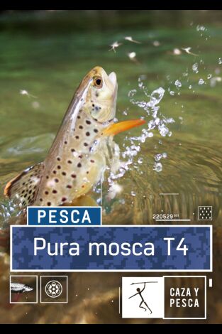 Pura mosca. T(T4). Pura mosca (T4)