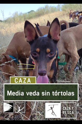 Media veda sin Tórtolas