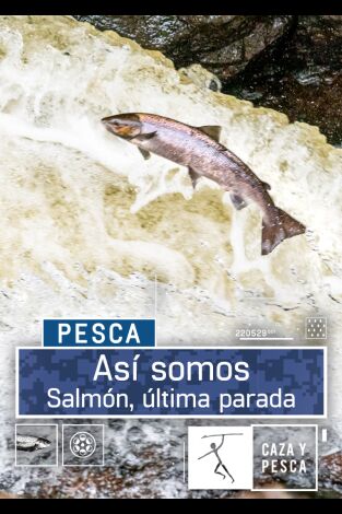 Así somos. T(T1). Así somos (T1): Salmón, última parada