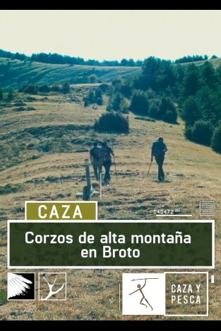 Corzos de alta montaña en Broto