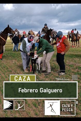 Febrero galguero