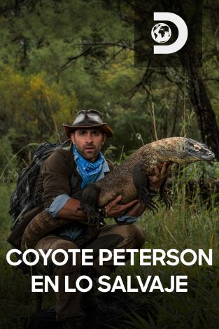 Coyote Peterson en lo salvaje. Coyote Peterson en lo...: Rodeado de abejas asesinas