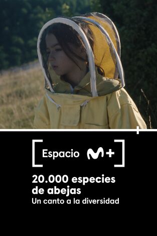 Espacio M+. T(T1). Espacio M+ (T1): 20.000 especies de abejas