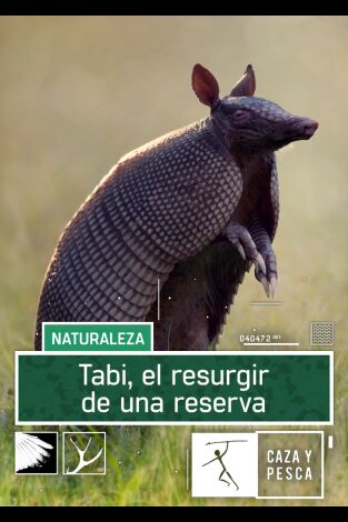 Tabi, el resurgir de una reserva