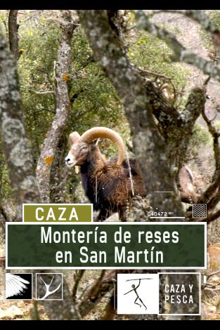 Montería de reses en San Martín