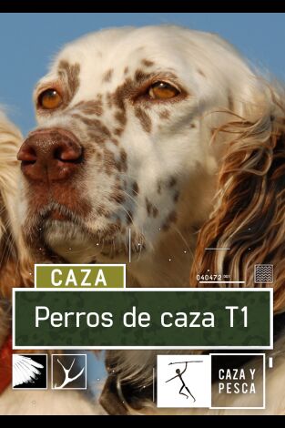 Perros de caza. T(T1). Perros de caza (T1)