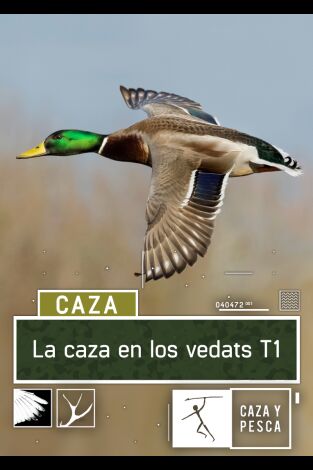 La caza en los Vedats. T(T1). La caza en los Vedats (T1)