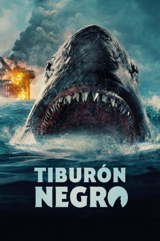 Tiburón negro