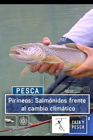 Pirineos: salmónidos frente al cambio climático