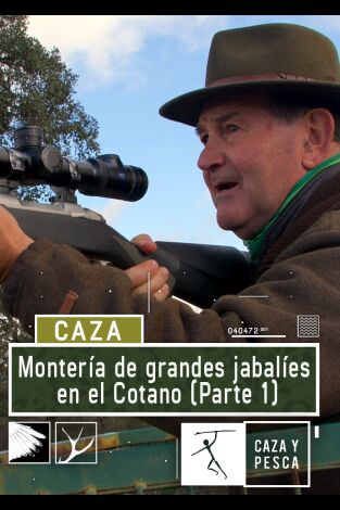 Montería de grandes jabalíes en el Cotano. 1ª parte