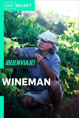 Wineman. Wineman: Los vinos únicos de tea de La Palma