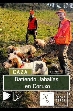 Batiendo jabalies en Coruxo