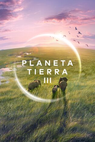 Planeta Tierra III. Planeta Tierra III 