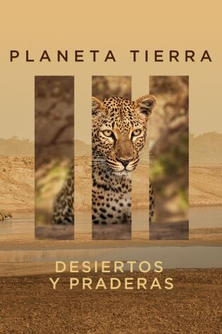 Planeta Tierra III. Planeta Tierra III: Desiertos y praderas