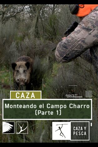 Monteando en el campo charro. 1ª parte