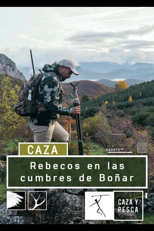 Rebecos en las cumbres de Boñar