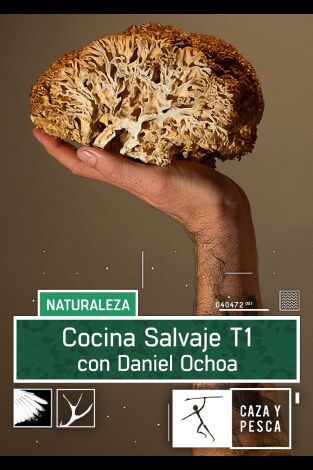 Cocina salvaje