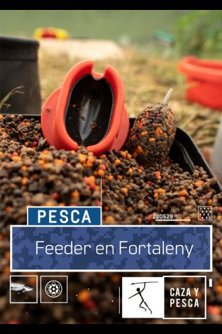 Feeder Free en Fortaleny