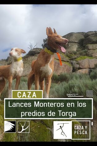 Lances monteros en los predios de Torga