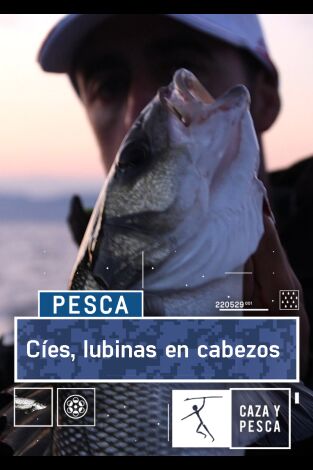 Cies, lubinas en cabezos