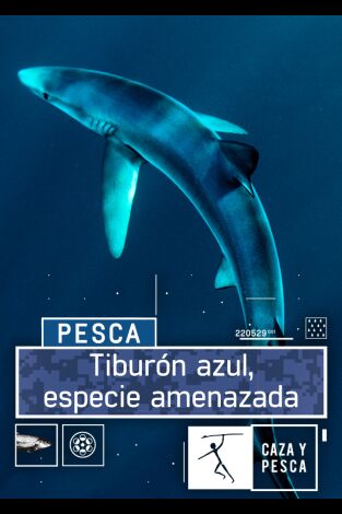 Tiburón azul, especie amenazada