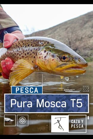 Pura mosca. T(T5). Pura mosca (T5): Ep.6