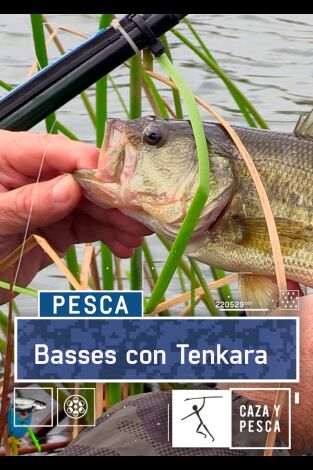 Basses con Tenkara