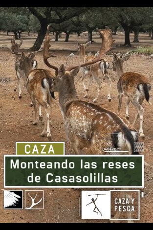 Monteando las reses de Casasolilla