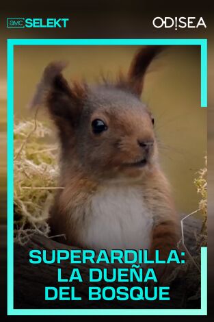 Superardilla: la dueña del bosque