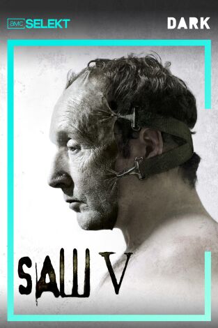 Saw V