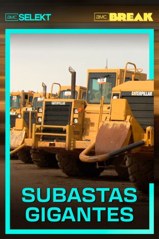 Subastas gigantes. Subastas gigantes 