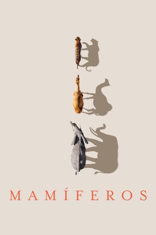 Mamíferos. Mamíferos 