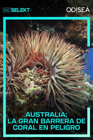 Australia: La Gran Barrera de Coral en peligro