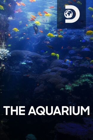 The Aquarium. T(T1). The Aquarium (T1): Ep.10