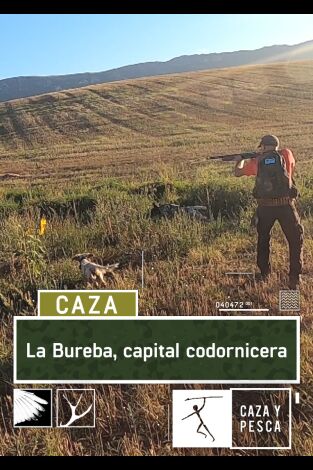 La Bureba, capital codornicera