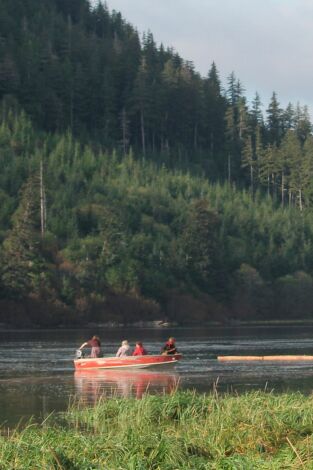 Mi familia vive en Alaska, Season 2. Mi familia vive en...: Cuanto más, mejor