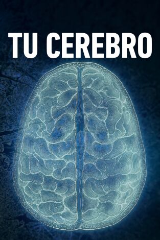 Tu cerebro