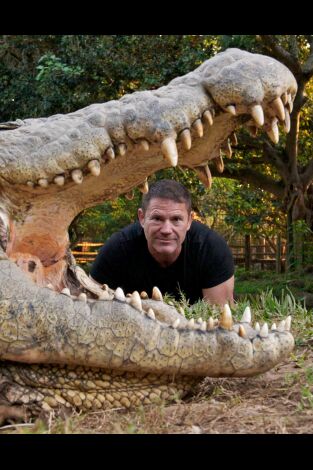 Hipopótamos y cocodrilos con Steve Backshall. Hipopótamos y...: Cocodrilos con Steve Backshall II