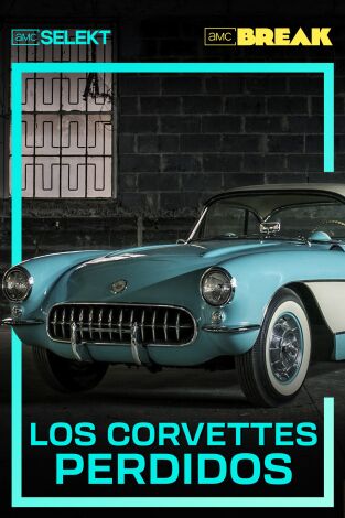 Los Corvettes perdidos. T(T1). Los Corvettes perdidos (T1)