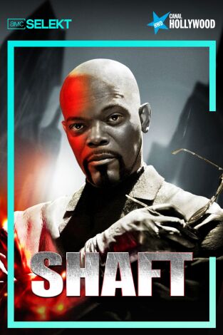 Shaft