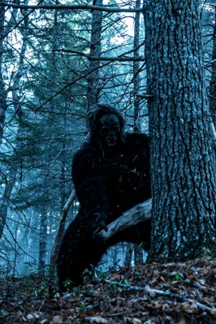 El triángulo de Alaska. T(T2). El triángulo de... (T2): La isla del Bigfoot