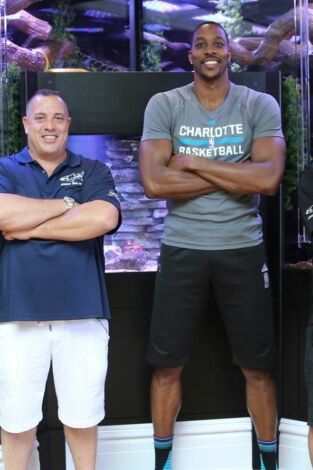 Acuarios XXL, Season 12. Acuarios XXL, Season 12: El acuario para serpientes de Dwight Howard