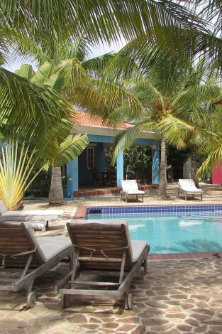 Quiero vivir en el Caribe, Season 12. T(T12). Quiero vivir en... (T12): Bucear en Bonaire