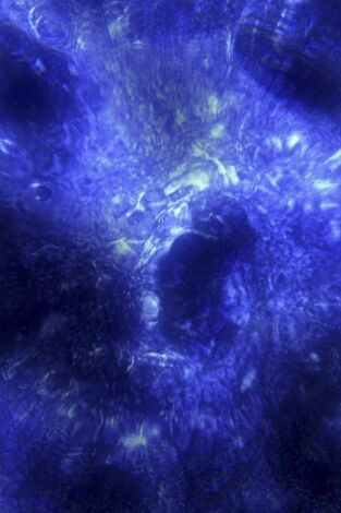 La historia del Universo. T(T5). La historia del... (T5): El enigma de la materia oscura